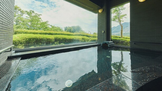 Ein moderner, überdachter Pool mit Blick auf einen angelegten Garten und ferne Berge.