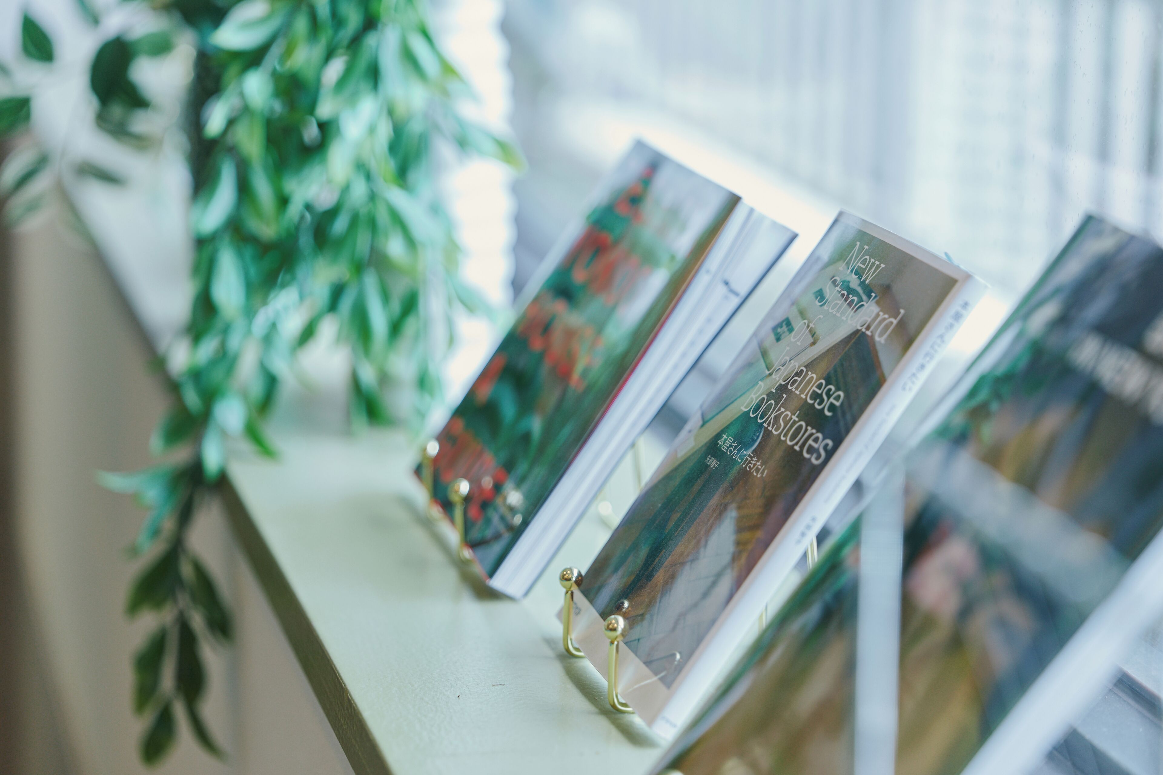 A row of magazines on a shelf with a plant to the left.