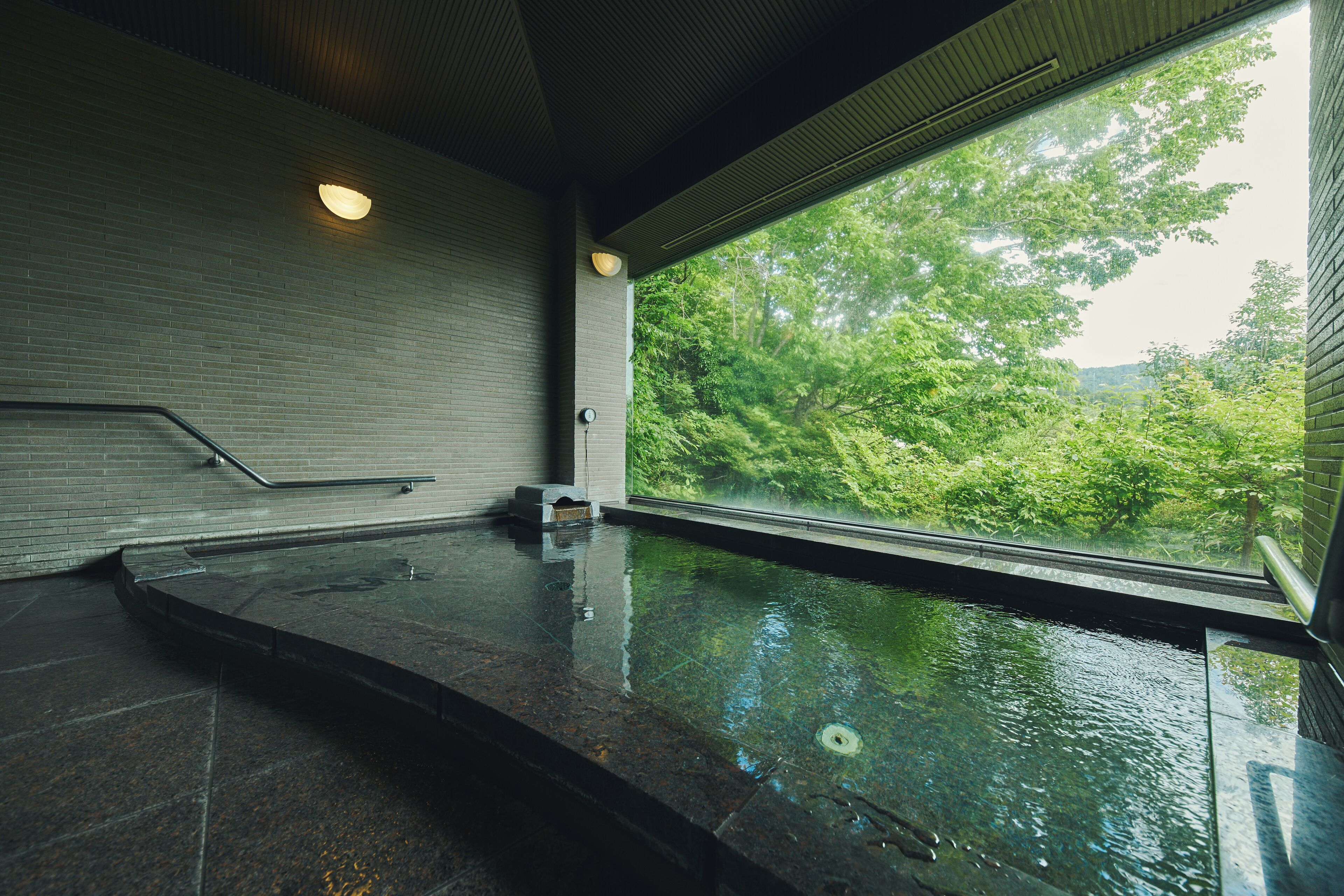 An indoor swimming pool with a view of lush greenery outside.