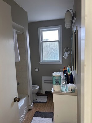 Hair dryer, bidet, towels, soap