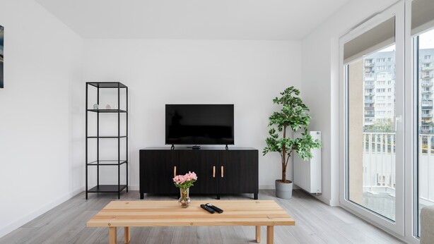 Ein modernes Wohnzimmer mit einem Fernseher auf einem schwarzen Schrank, einem Couchtisch mit einer Vase, einer Topfpflanze und einem Sofa.