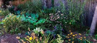 Fully equipped  studio in the center of town near train, beach and town green