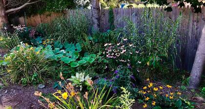 Fully equipped studio in the center of town near train, beach and town green