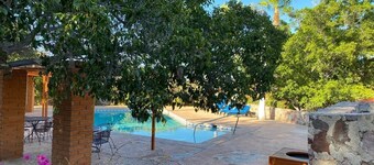 Tranquil Solimar Escape: 1BR Winter monthly rents