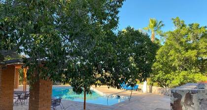 Tranquil Solimar Escape: 1BR Winter monthly rents