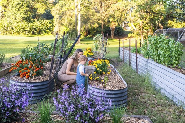 Terrein van de accommodatie