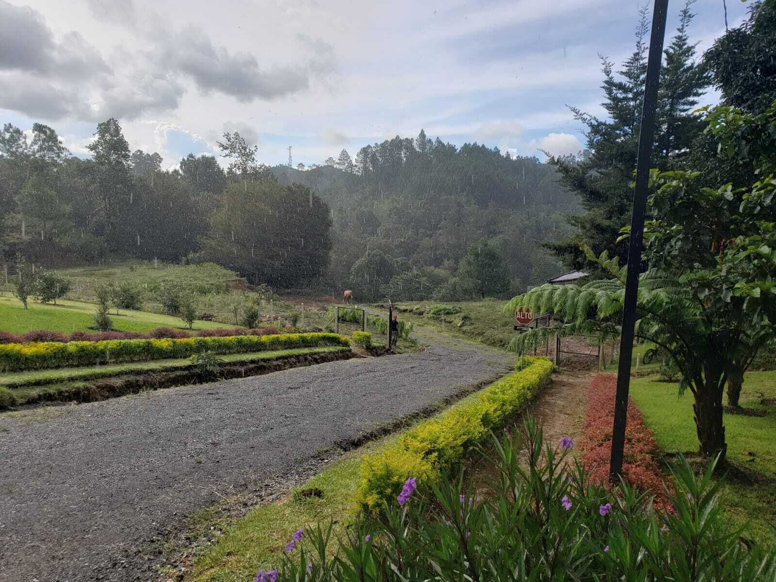 Parco della struttura