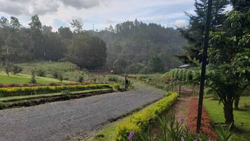 Área da propriedade