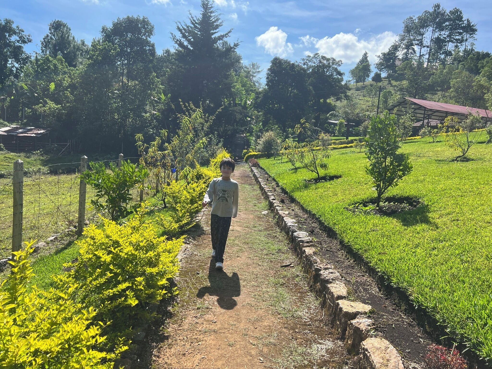 Parco della struttura