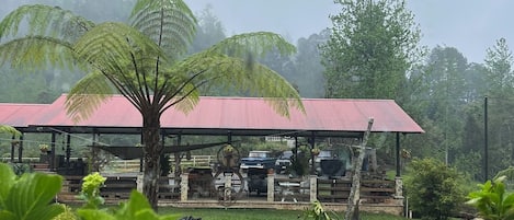 Jardines del alojamiento