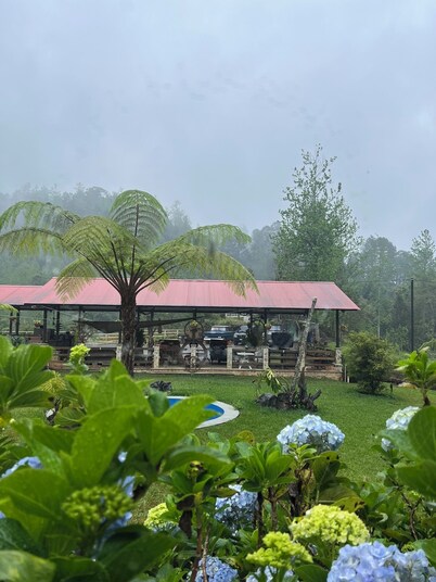 Beautiful country house in private nature reserve