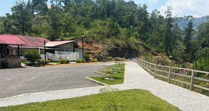 Beautiful country house in private nature reserve