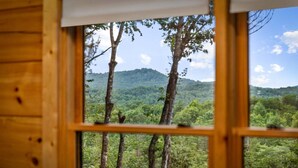 Ein Fenster mit Blick auf eine bewaldete Berglandschaft.