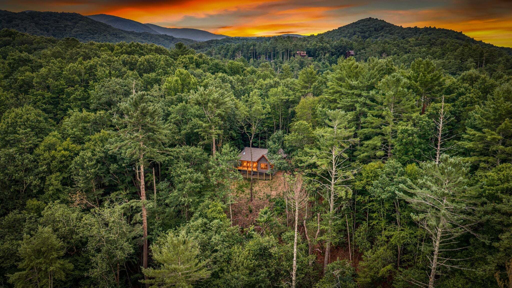 A cabin surrounded by dense forest with a view of distant mountains.