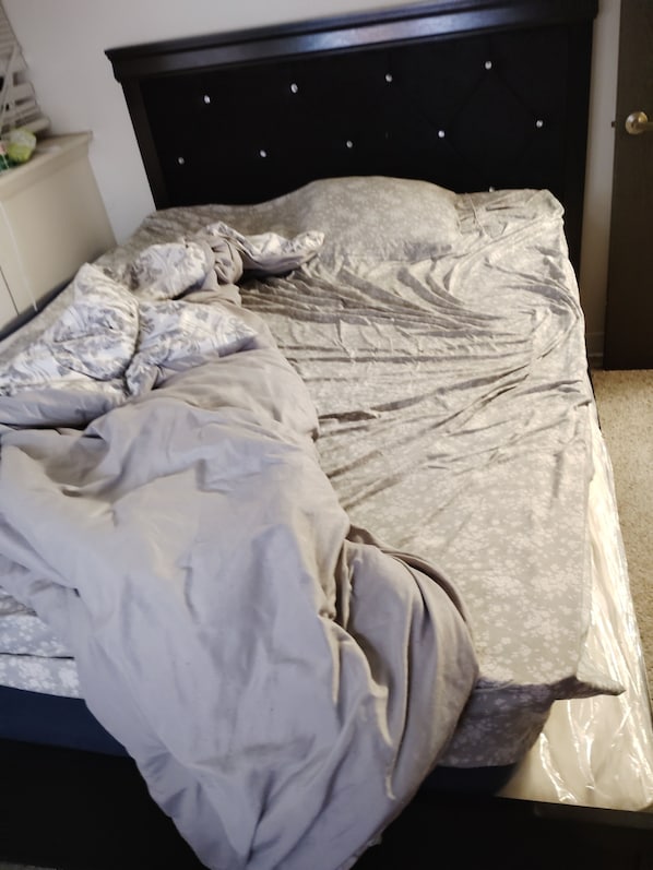 Wi-Fi, draps fournis