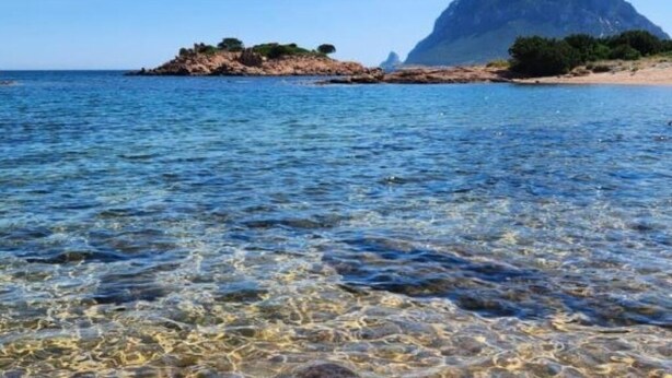 A coastal scene with clear water, a rocky island, and a mountain in the background. - Wonderful view of the island of Tavolara (Monte Petrosu)