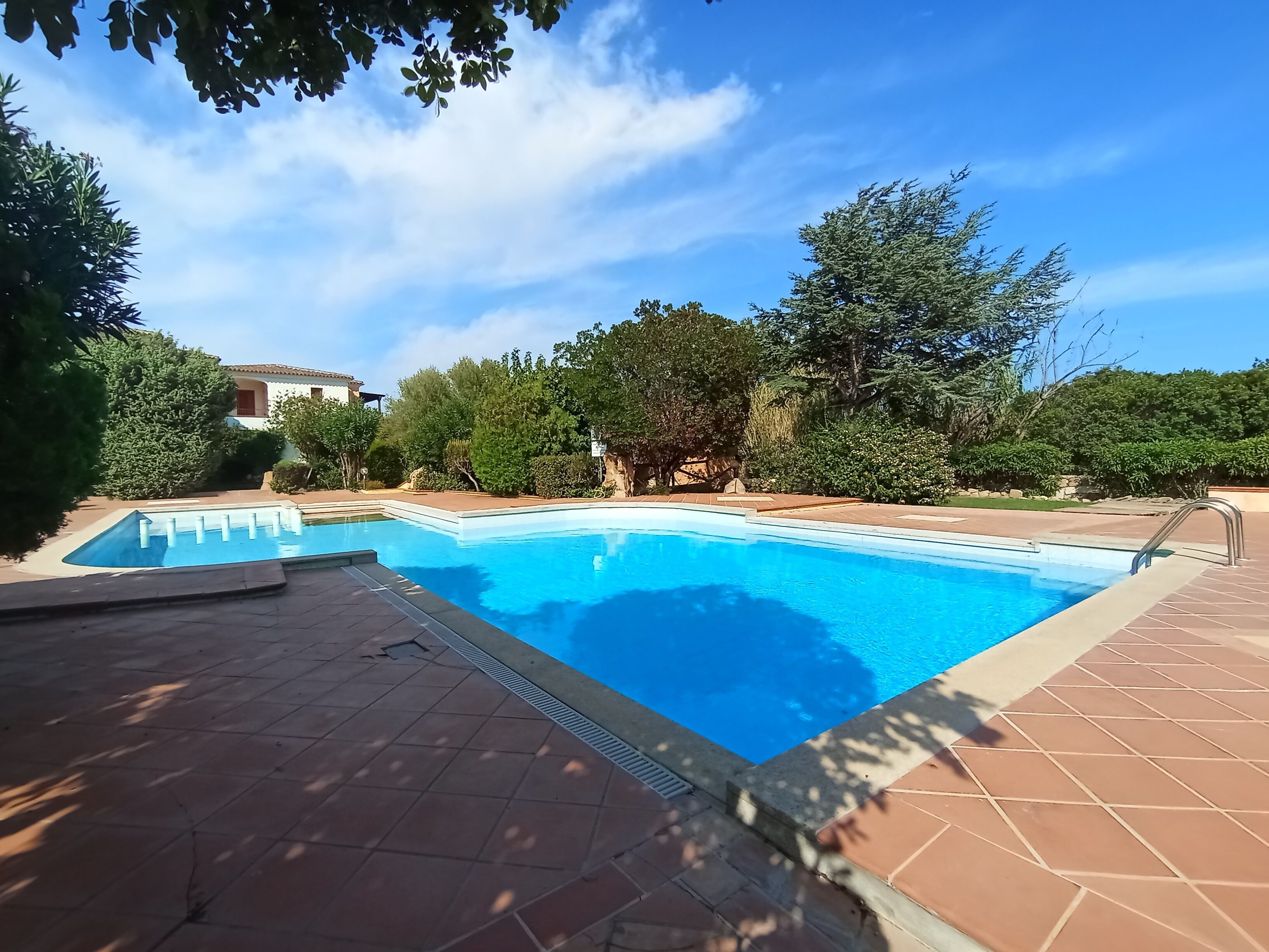 A rectangular swimming pool with a tiled deck, surrounded by lush greenery and trees.