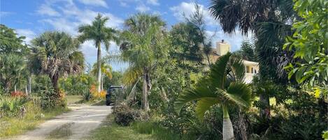 Jardines del alojamiento