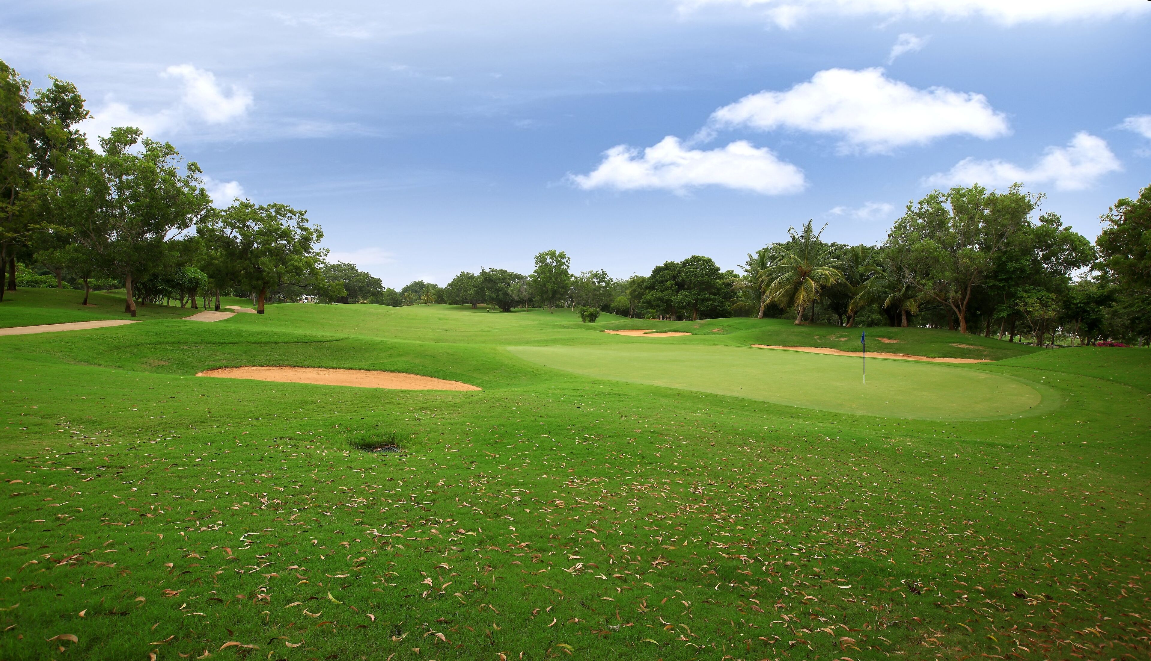 Golf
