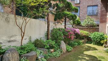 Terrein van de accommodatie