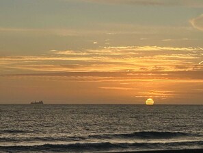 Sun loungers, beach towels