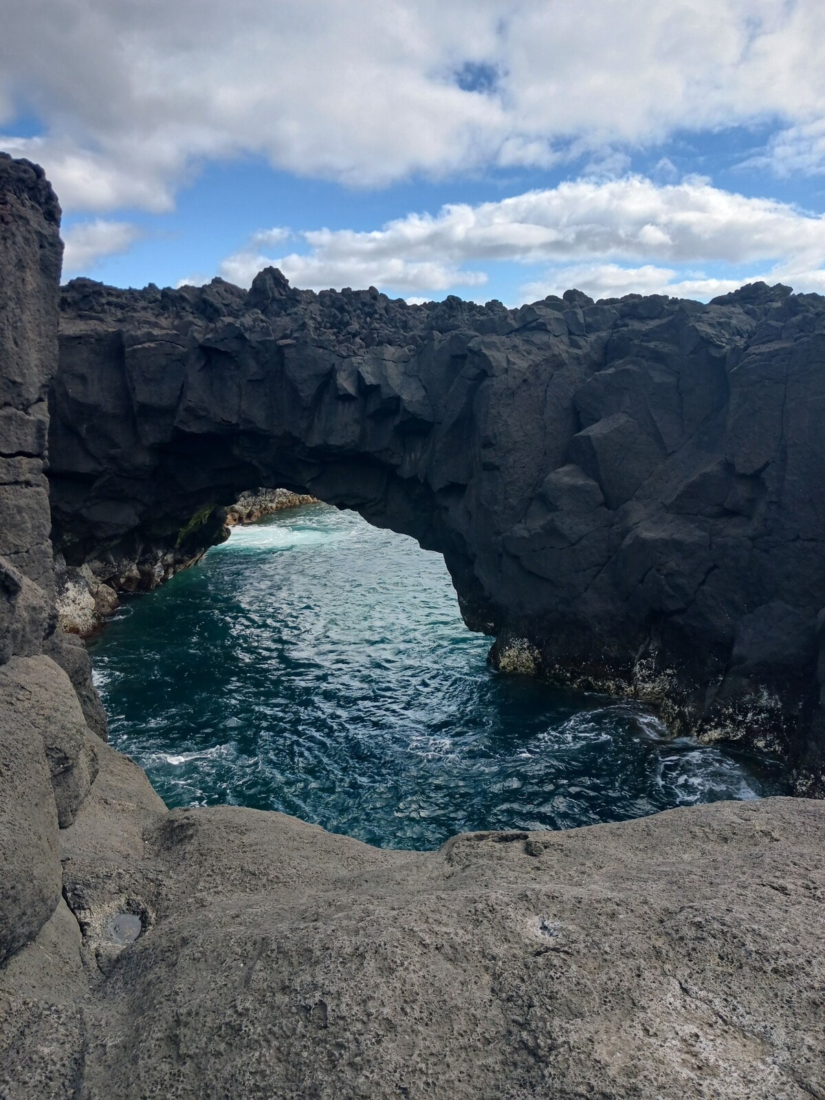 Image de profil de l’hôte