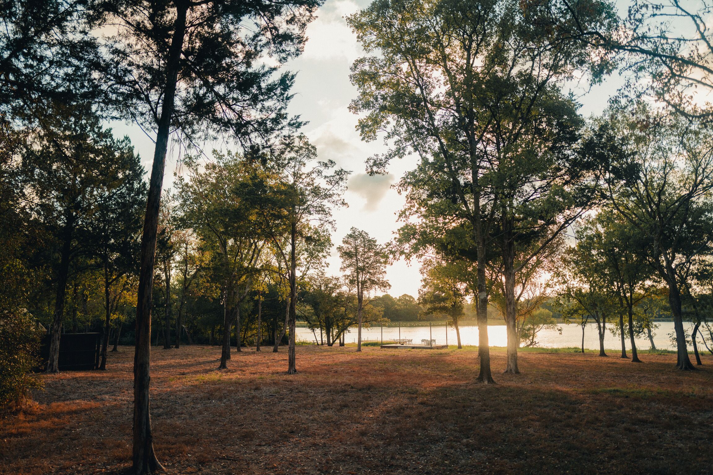 Un parc avec des arbres et un banc au bord d’un lac.