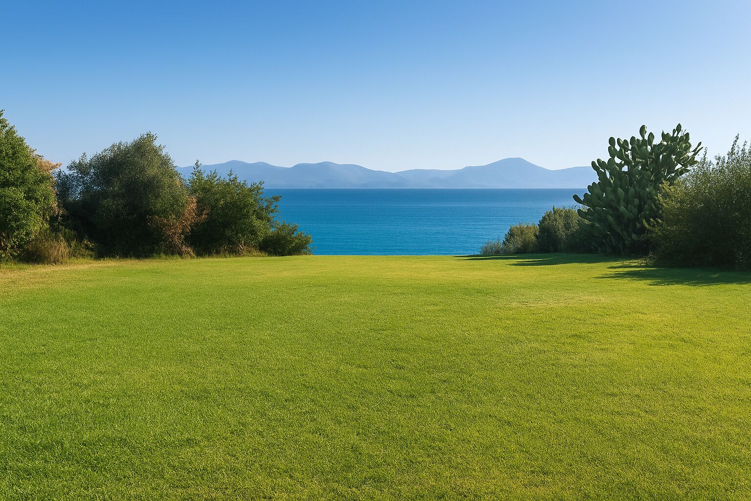 A grassy field with a view of the sea and mountains in the distance.