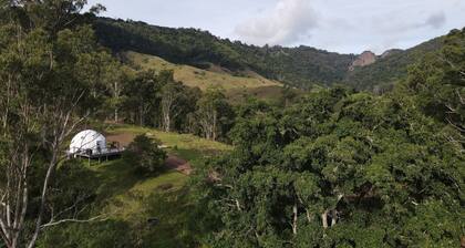 Forest Dome, set upon the foothills of the forest