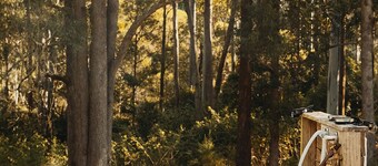 Forest Dome, set upon the foothills of the forest
