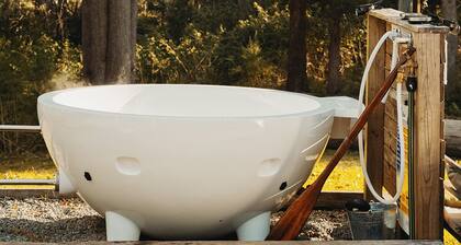 Forest Dome, set upon the foothills of the forest