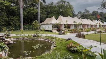 Vue depuis l’hébergement