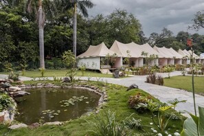 View from property - Aranya Vilas - A Nature Resort (Udaipur)