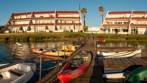 Hotel sul lungomare con molo, kayak e una palma.