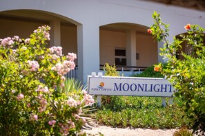 Terrain de l’hébergement 