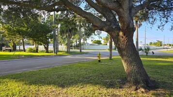 Àrea exterior de l'allotjament