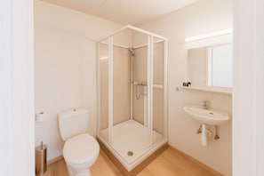 Een moderne badkamer met een douche met glazen wand, een toilet en een wastafel met spiegel erboven.