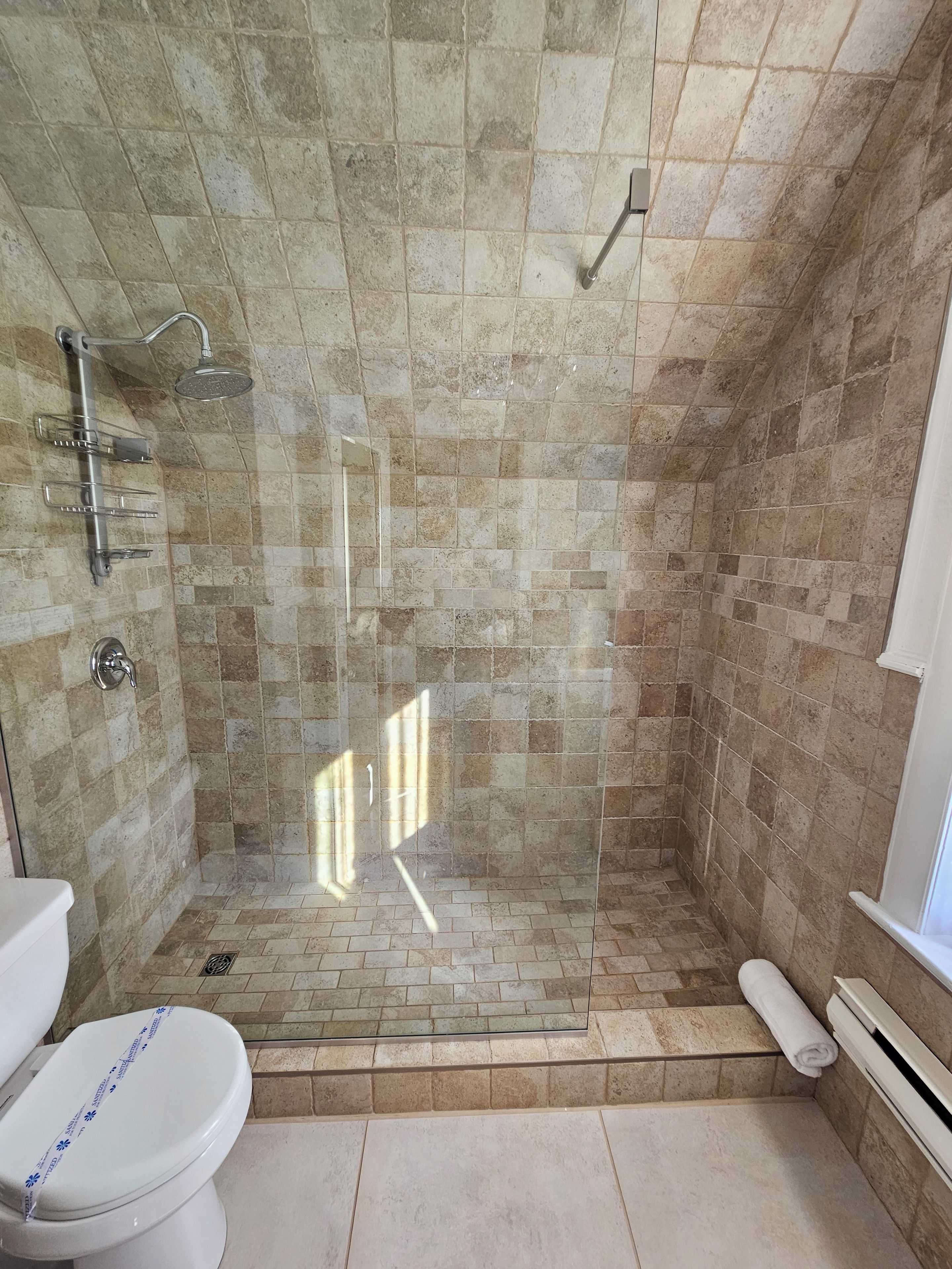 Une salle de bain avec une douche, des toilettes et un porte-serviettes.