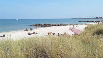 A beach with people sunbathing, a large red and white striped umbrella, and a rocky breakwater in the background.