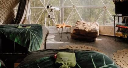 Treetop Domes over an enchanting valley of Eucalypt forest