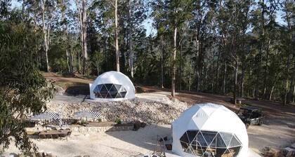 Treetop Domes over an enchanting valley of Eucalypt forest