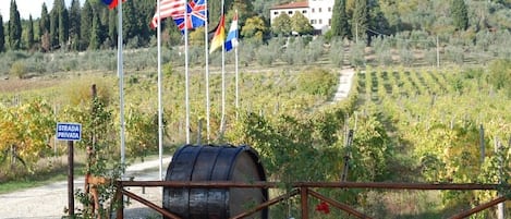 A vineyard with a private road sign, multiple national flags, and a large barrel gate.