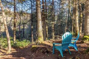 Property grounds - Tranquil Home 10 mins from Mohawk Mountain: Skiing, hiking, nature! (Litchfield)