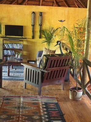 Smart-TV, DVD-Player, Bücher, Videothek