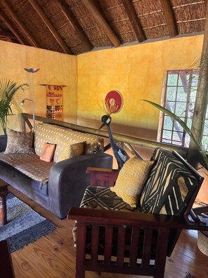 تلفزيون ذكي، مشغل دي في دي، كُتُب، مكتبة فيديو