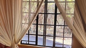 A room with a large window, a bed with a patterned bedspread, and a bench with cushions. - Reverie Safari Lodge: Exclusive private lodge in Marloth Park (Marloth Park)