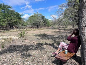 Property grounds - Reverie Safari Lodge: Exclusive private lodge in Marloth Park (Marloth Park)