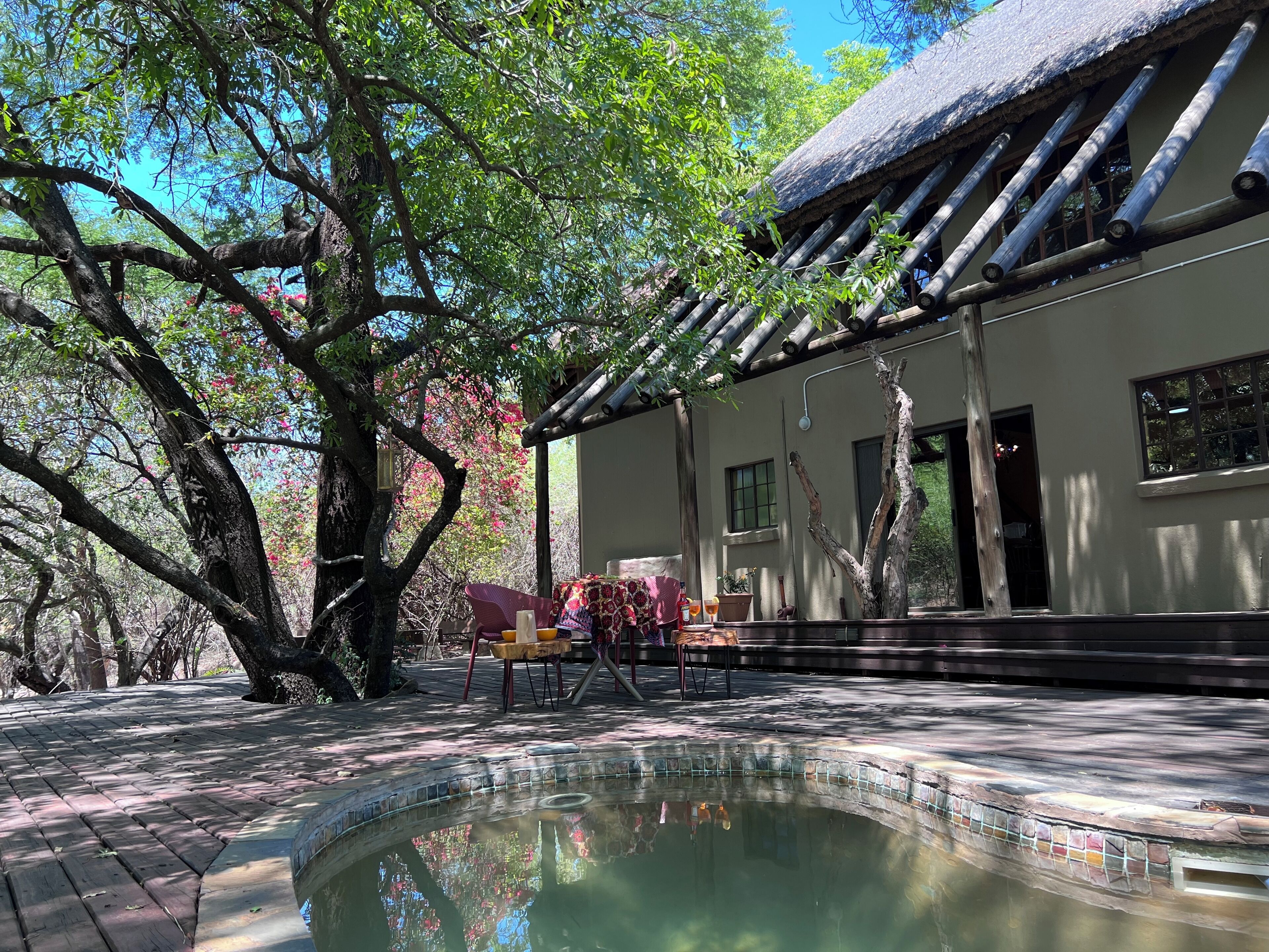 Alberca al aire libre 