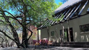 A traditional building with a thatched roof, a pool, and a patio area with outdoor furniture. - Reverie Safari Lodge: Exclusive private lodge in Marloth Park (Marloth Park)