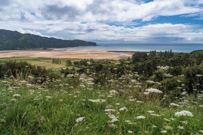 Beach - Little Greenie, Passive House, Golden Bay. (Takaka)